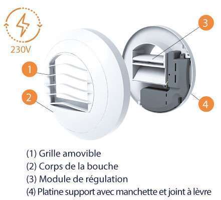 composition bouche alize auto tempo double débit élec anjos